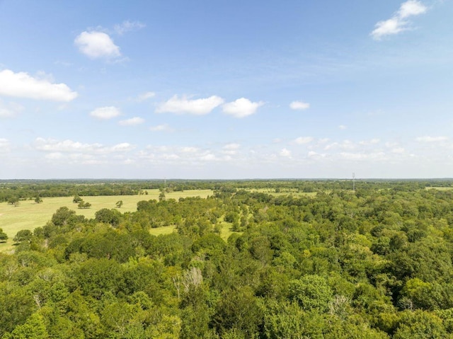 0 Fm 2620, Bedias, TX 77831 - photo 8