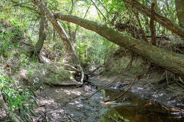 0 Fm 2620, Bedias, TX 77831 - photo 9