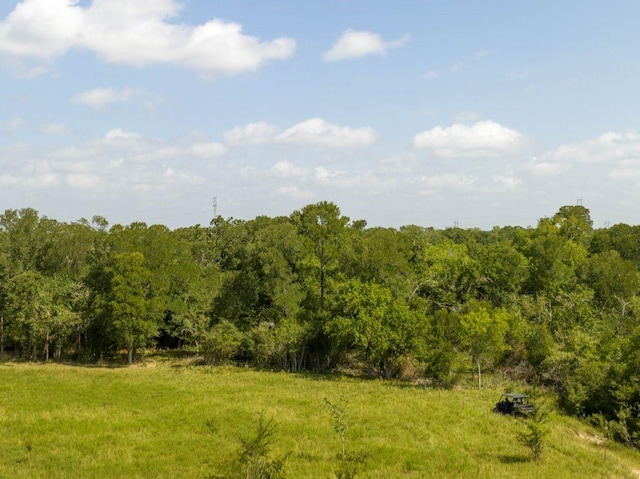 0 Fm 2620, Bedias, TX 77831 - photo 12