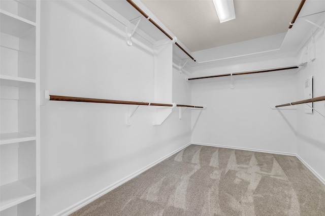 3502 Avalon Spring Ln, Spring, TX 77386 - walk in closet featuring carpet