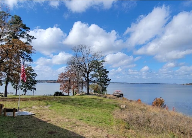 135 Canadian Dr, Trinity, TX 75862