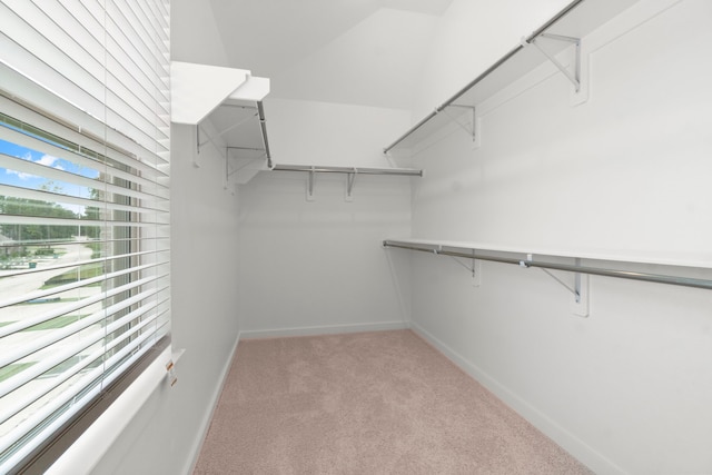 2666 Woodforest Pkwy N, Montgomery, TX 77316 - photo 19