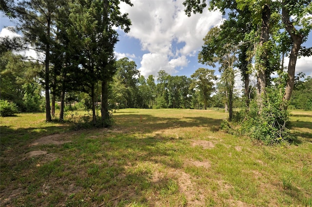 26150 Grand Pines Rd, Magnolia, TX 77355 - photo 14