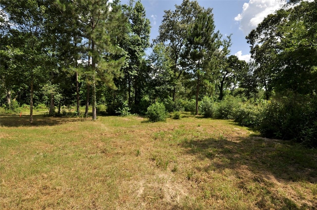 26150 Grand Pines Rd, Magnolia, TX 77355 - photo 5