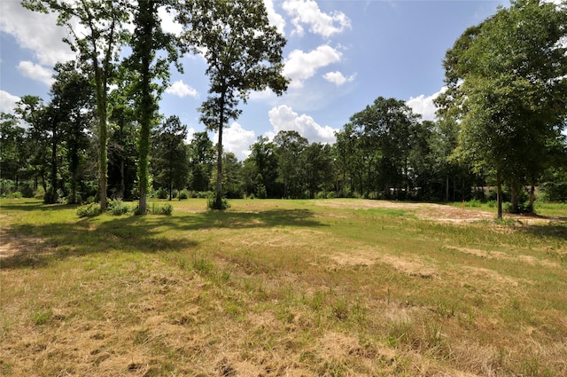 26150 Grand Pines Rd, Magnolia, TX 77355 - photo 13