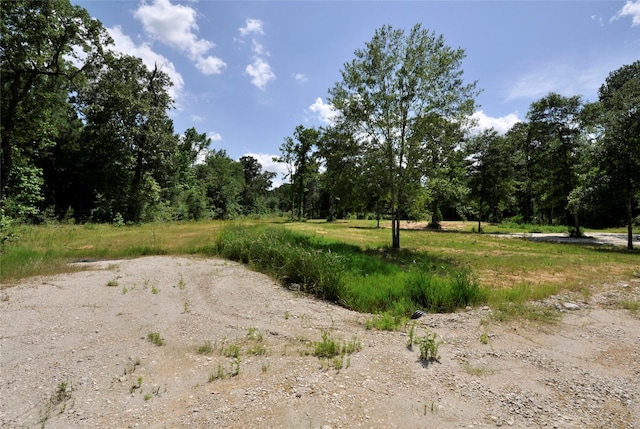 26150 Grand Pines Rd, Magnolia, TX 77355 - photo 18