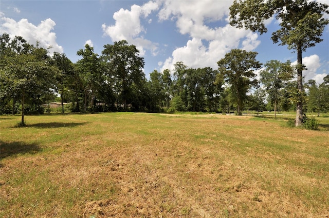 26150 Grand Pines Rd, Magnolia, TX 77355 - photo 15