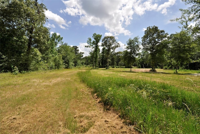 26150 Grand Pines Rd, Magnolia, TX 77355 - photo 21