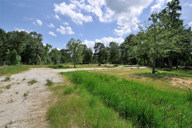 26150 Grand Pines Rd, Magnolia, TX 77355 - photo 17