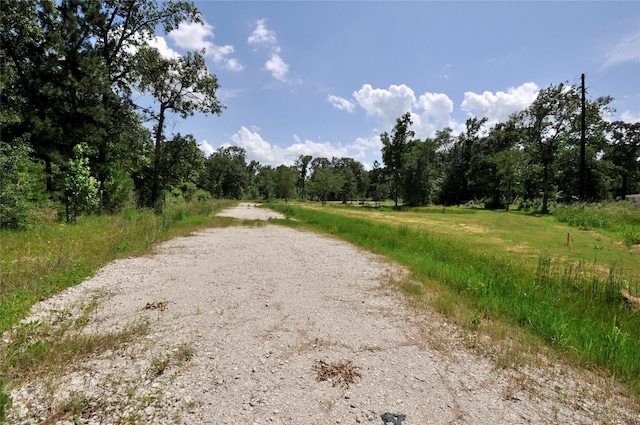 26150 Grand Pines Rd, Magnolia, TX 77355 - photo 16