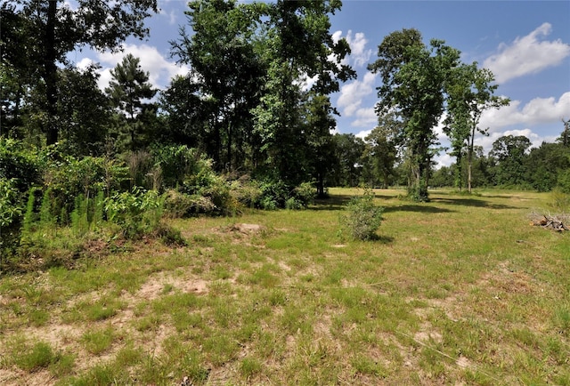 26150 Grand Pines Rd, Magnolia, TX 77355 - photo 10