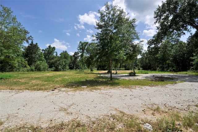 26150 Grand Pines Rd, Magnolia, TX 77355 - photo 19