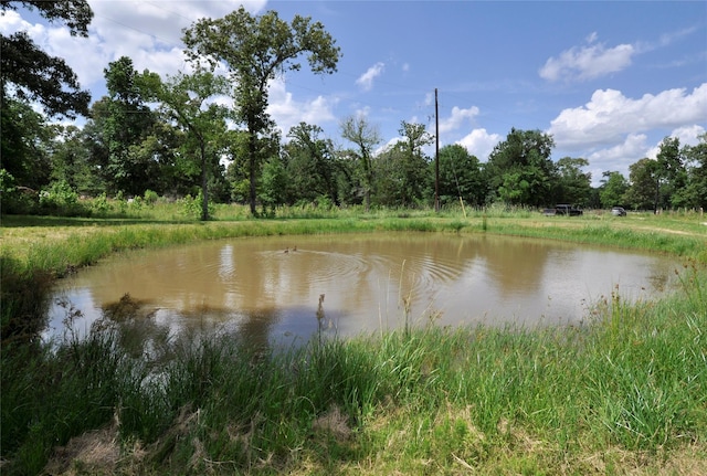 26150 Grand Pines Rd, Magnolia, TX 77355 - photo 12