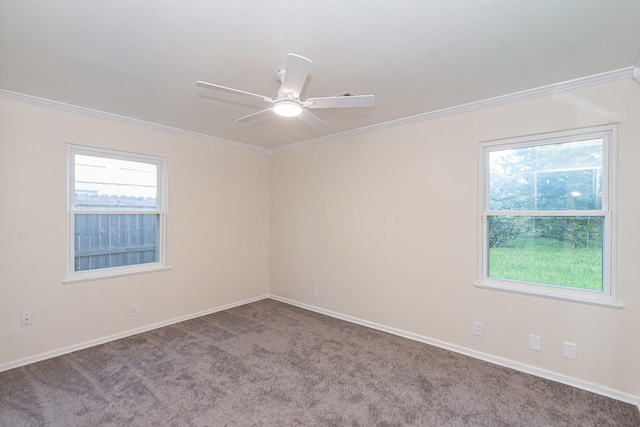 5834 Overdale St, Houston, TX 77033 - photo 12