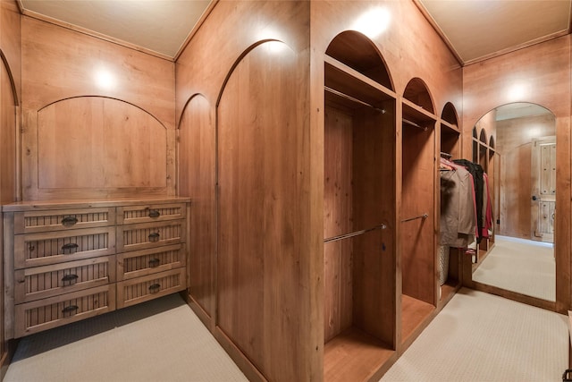 701 W Friar Tuck Ln, Houston, TX 77024 - spacious closet featuring carpet floors