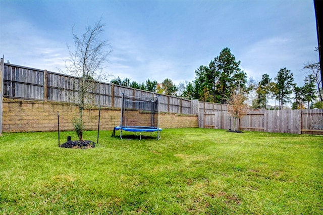 12223 Antilles Ln, Conroe, TX 77304 - fenced backyard featuring a trampoline