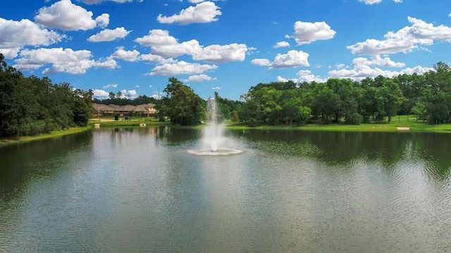 12223 Antilles Ln, Conroe, TX 77304 - water view