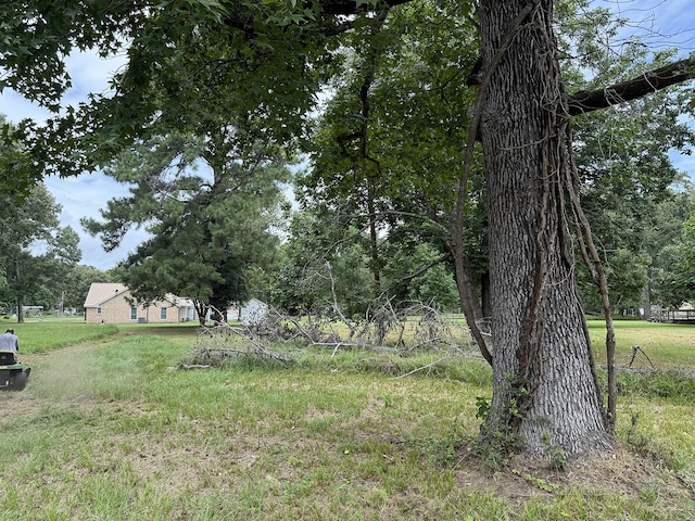 LOT7BLOCK8 Monticello St, Trinity, TX 75862 - photo 5