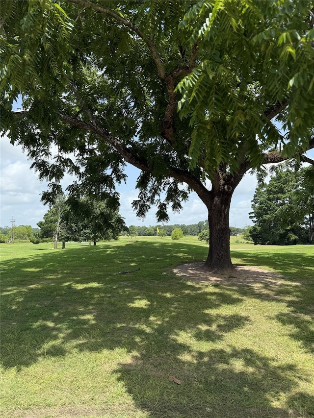 LOT7BLOCK8 Monticello St, Trinity, TX 75862 - photo 6