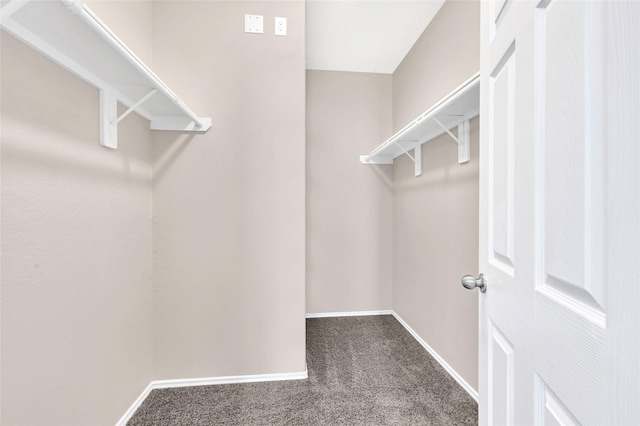638 E Fairway Lake Dr, Alvin, TX 77511 - walk in closet featuring carpet floors