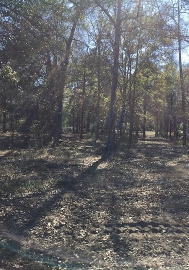 29320 Clydesdale Dr, Waller, TX 77484 - photo 7