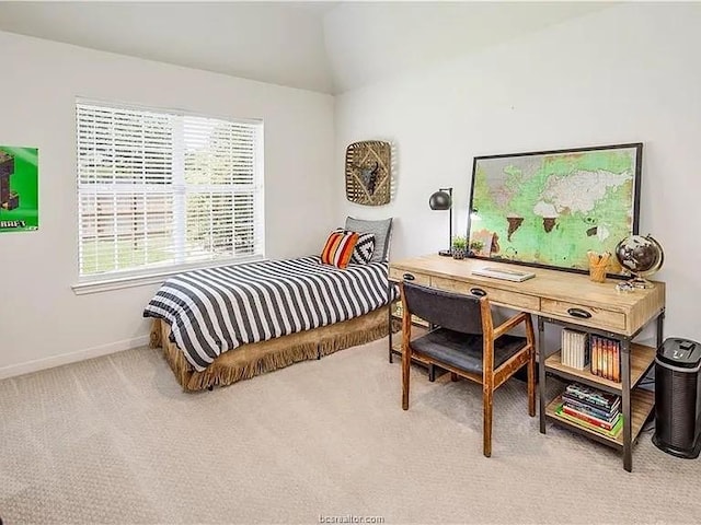701 Putter Ct, College Station, TX 77845 - photo 20