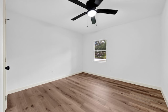 10010 Gloyna St, Houston, TX 77088 - photo 12