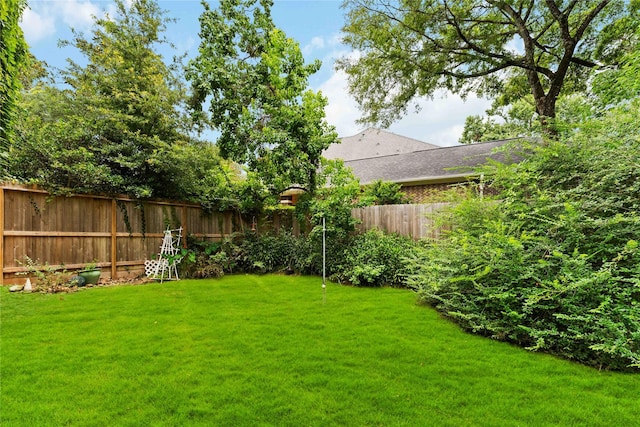 13262 Autumn Ash Dr, Conroe, TX 77302 - photo 35
