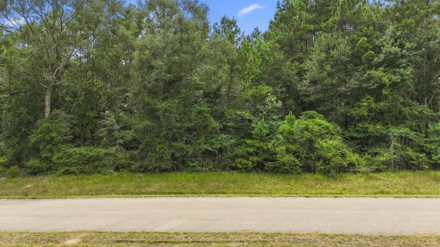 4207 Longhorn Dr, Cleveland, TX 77328 - photo 11