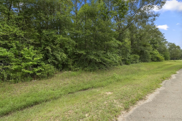 4207 Longhorn Dr, Cleveland, TX 77328 - photo 9