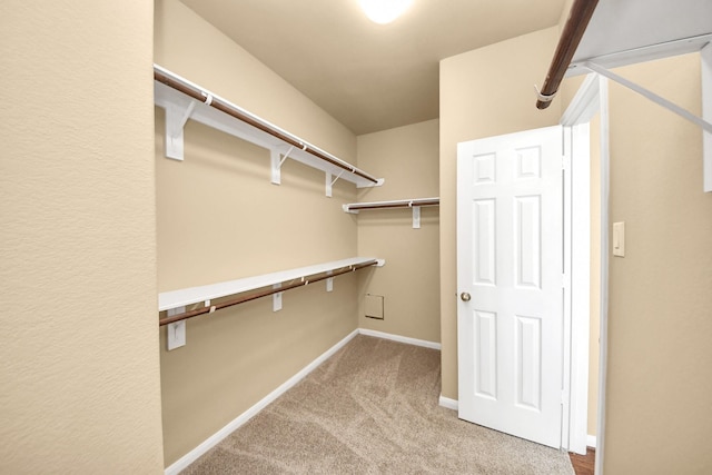 12418 Garden Gale Ln, Houston, TX 77044 - photo 21