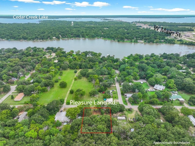 410 Pleasure Land Rd, Gun Barrel City, TX 75156 - photo 3