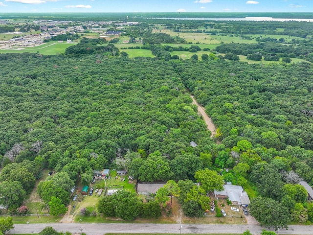 410 Pleasure Land Rd, Gun Barrel City, TX 75156 - photo 6