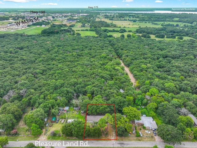 410 Pleasure Land Rd, Gun Barrel City, TX 75156 - photo 7