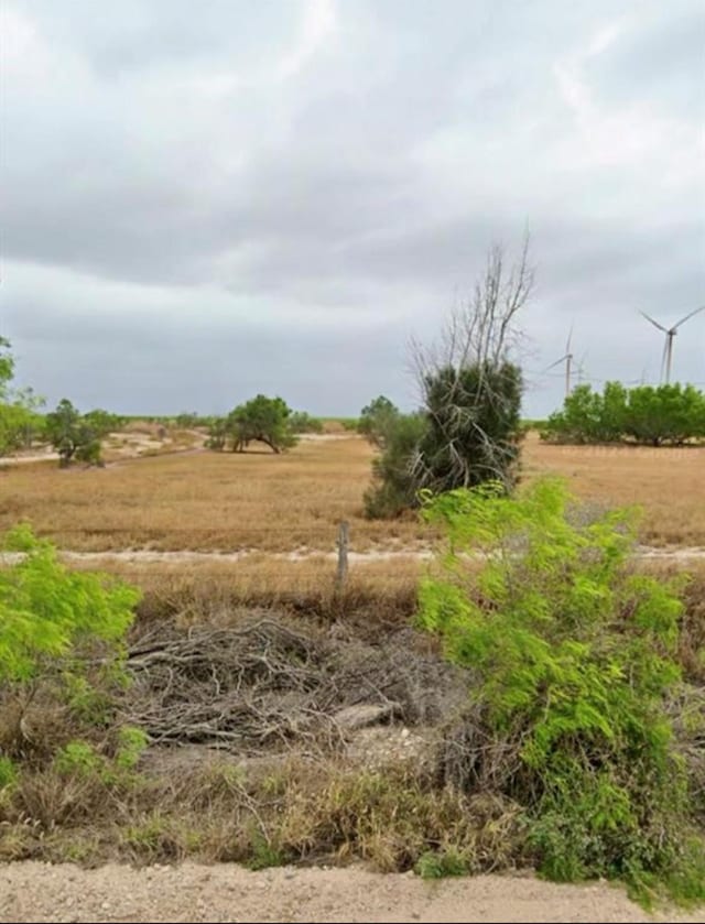 1254 La Morita Rd, Rio Grande City, TX 78582 - photo 2