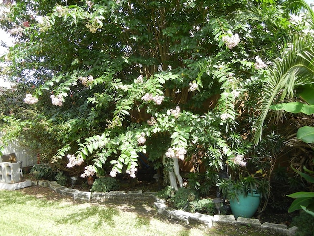 4822 Edgegate Dr, Spring, TX 77373 - view of yard