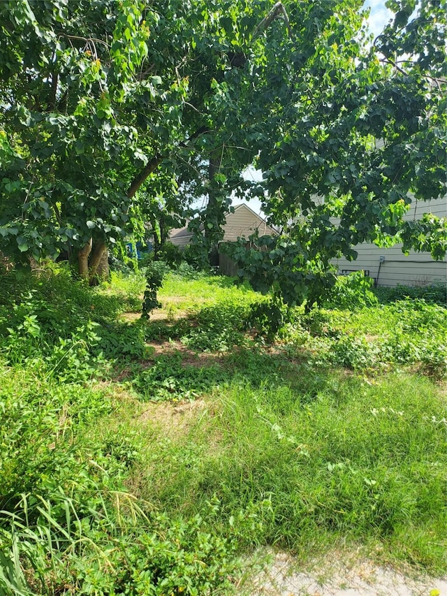 0 Ruthven St, Houston, TX 77019 - photo 4