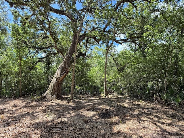 17480 County Road 945, Brazoria, TX 77422 - photo 1