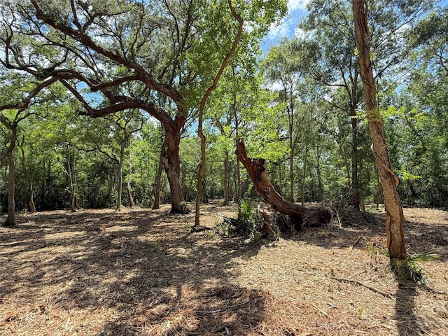 17480 County Road 945, Brazoria, TX 77422 - photo 8