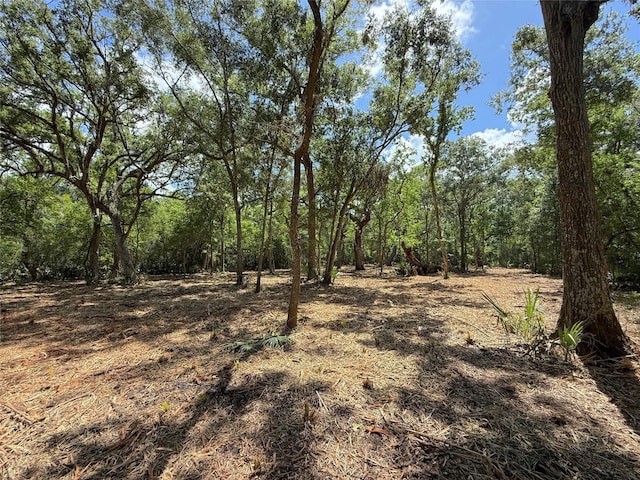 17480 County Road 945, Brazoria, TX 77422 - photo 9