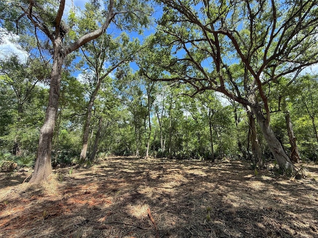 17480 County Road 945, Brazoria, TX 77422 - photo 10