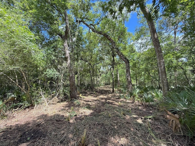 17480 County Road 945, Brazoria, TX 77422 - photo 14