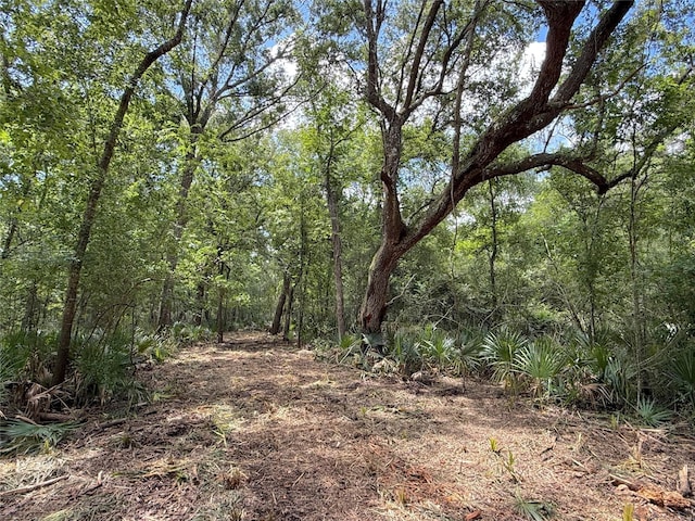 17480 County Road 945, Brazoria, TX 77422 - photo 17