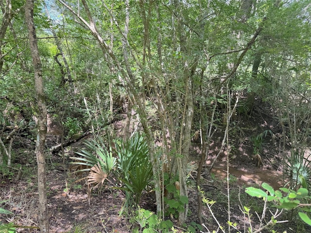 17480 County Road 945, Brazoria, TX 77422 - photo 18