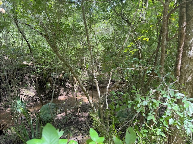 17480 County Road 945, Brazoria, TX 77422 - photo 19