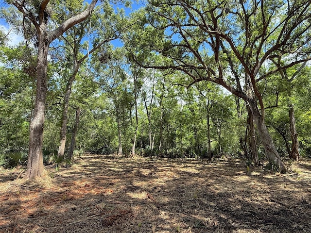 17480 County Road 945, Brazoria, TX 77422 - photo 2