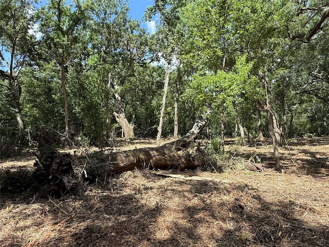 17480 County Road 945, Brazoria, TX 77422 - photo 3