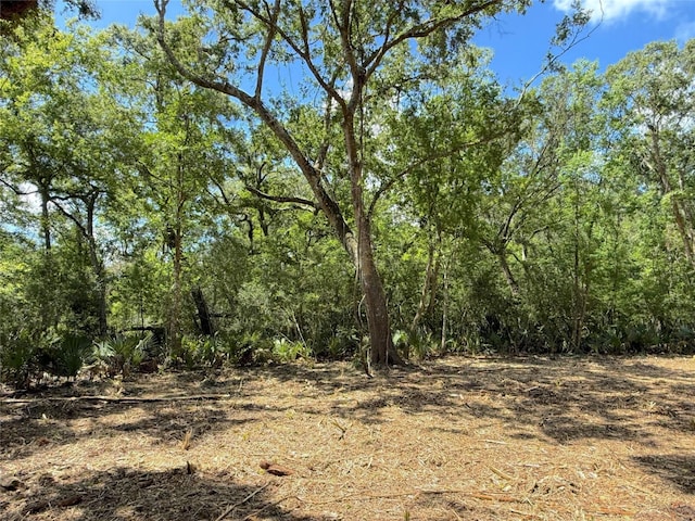 17480 County Road 945, Brazoria, TX 77422 - photo 4
