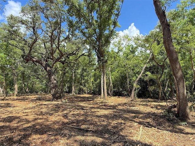 17480 County Road 945, Brazoria, TX 77422 - photo 5