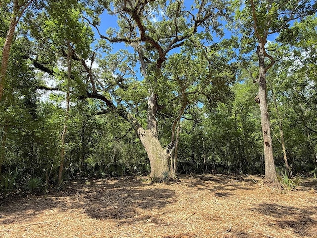 17480 County Road 945, Brazoria, TX 77422 - photo 6